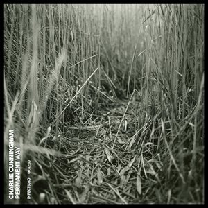 4408三级神马视频
