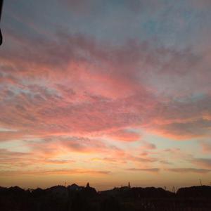 4408三级神马视频
